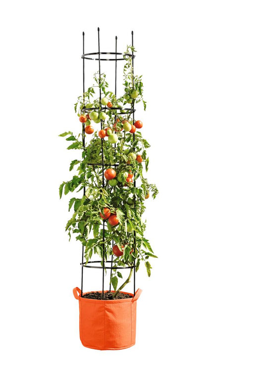 Gardener's Best Tomato Grow Bag Set Natural