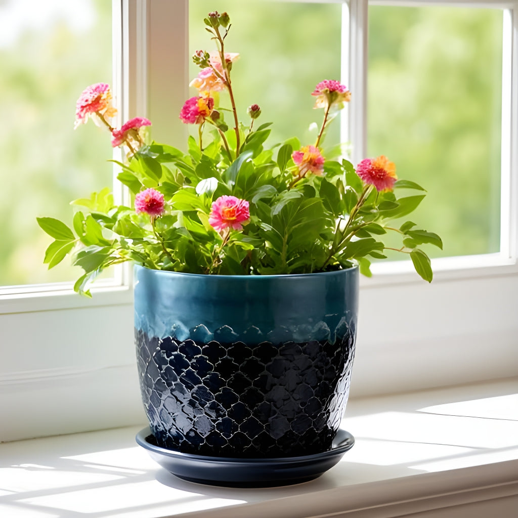 Abra Ogee Ceramic Planter With Attached Saucer