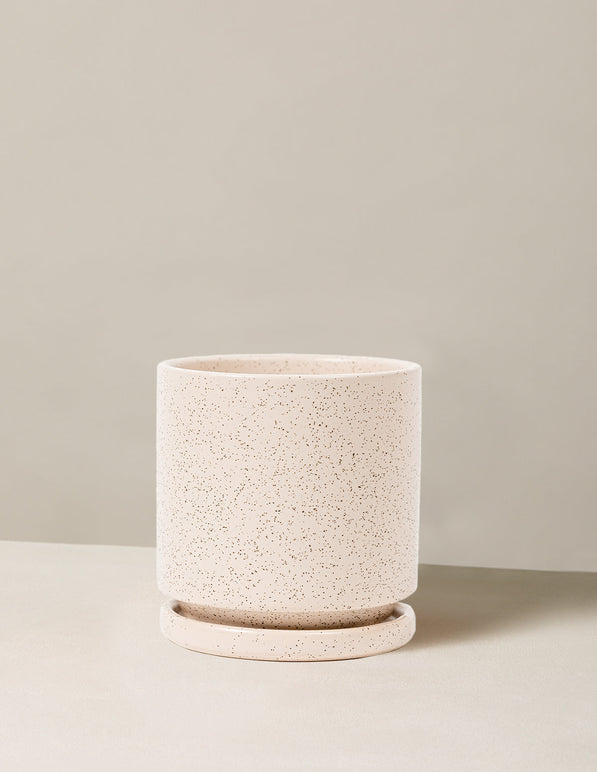 Isabella Planter