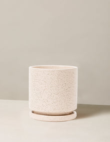 Isabella Planter